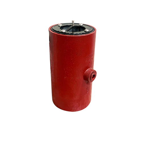BV1260 Vertical Cast Iron Backwater Valve with Neoprene Seat